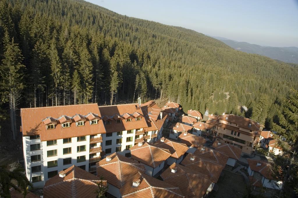 Forest Glade-Апартаменти И Стаи За Гости Παμπόροβο Εξωτερικό φωτογραφία