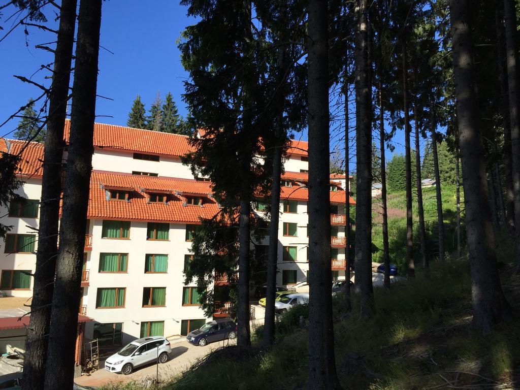 Forest Glade-Апартаменти И Стаи За Гости Παμπόροβο Εξωτερικό φωτογραφία
