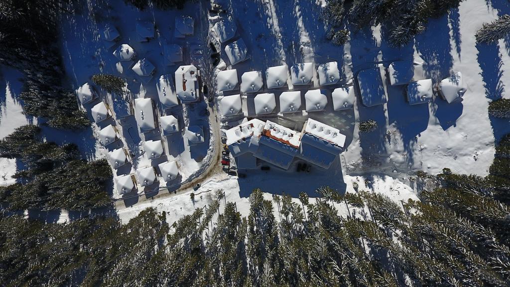 Forest Glade-Апартаменти И Стаи За Гости Παμπόροβο Εξωτερικό φωτογραφία