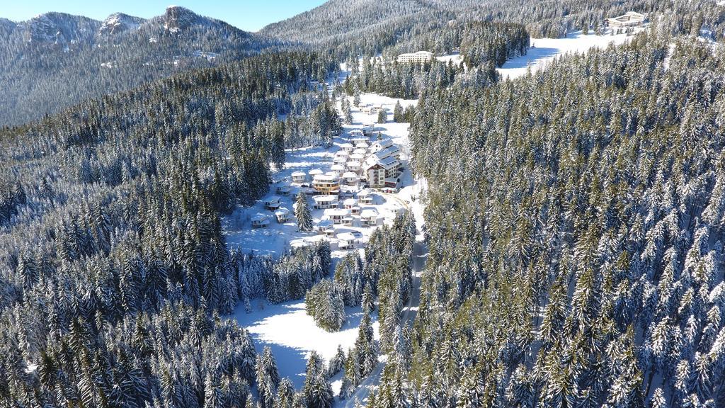 Forest Glade-Апартаменти И Стаи За Гости Παμπόροβο Εξωτερικό φωτογραφία